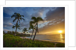 Sunset on Southern Maui Beach with Palm Trees by Anonymous