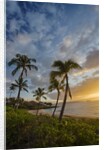 Sunset on Southern Maui Beach with Palm Trees by Anonymous