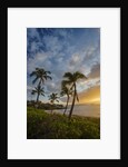 Sunset on Southern Maui Beach with Palm Trees by Anonymous