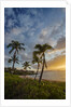 Sunset on Southern Maui Beach with Palm Trees by Anonymous