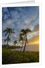 Sunset on Southern Maui Beach with Palm Trees by Anonymous
