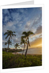Sunset on Southern Maui Beach with Palm Trees by Anonymous