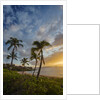 Sunset on Southern Maui Beach with Palm Trees by Anonymous