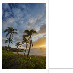 Sunset on Southern Maui Beach with Palm Trees by Anonymous
