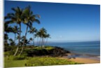 Palm Trees and Beach Along the Southern Maui by Anonymous