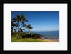 Palm Trees and Beach Along the Southern Maui by Anonymous