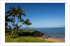 Palm Trees and Beach Along the Southern Maui by Anonymous