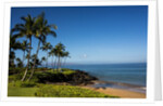 Palm Trees and Beach Along the Southern Maui by Anonymous