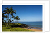 Palm Trees and Beach Along the Southern Maui by Anonymous