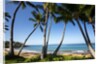 Palm Trees and Beach Along the Southern Maui by Anonymous