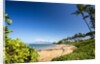 Palm Trees and Beach Along the Southern Maui by Anonymous