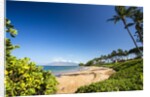 Palm Trees and Beach Along the Southern Maui by Anonymous