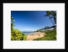Palm Trees and Beach Along the Southern Maui by Anonymous