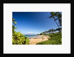 Palm Trees and Beach Along the Southern Maui by Anonymous