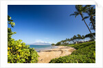 Palm Trees and Beach Along the Southern Maui by Anonymous