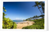 Palm Trees and Beach Along the Southern Maui by Anonymous