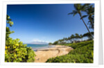 Palm Trees and Beach Along the Southern Maui by Anonymous