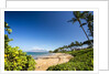 Palm Trees and Beach Along the Southern Maui by Anonymous