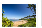 Palm Trees and Beach Along the Southern Maui by Anonymous
