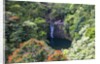 Waterfall along the Hana Highway by Anonymous