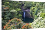 Waterfall along the Hana Highway by Anonymous