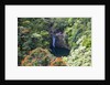 Waterfall along the Hana Highway by Anonymous