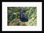 Waterfall along the Hana Highway by Anonymous