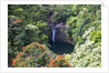 Waterfall along the Hana Highway by Anonymous