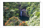 Waterfall along the Hana Highway by Anonymous