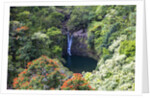 Waterfall along the Hana Highway by Anonymous