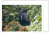 Waterfall along the Hana Highway by Anonymous