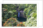 Waterfall along the Hana Highway by Anonymous