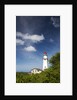 Morning light on Diamond Head Lighthouse with Puffy Clouds by Anonymous