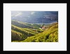 Terraced Vineyards lining the hills of the Duoro Valley by Anonymous