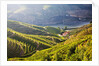 Terraced Vineyards lining the hills of the Duoro Valley by Anonymous