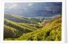 Terraced Vineyards lining the hills of the Duoro Valley by Anonymous