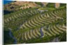 Terraced Vineyards lining the hills of the Duoro Valley by Anonymous