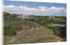 Terraced Vineyards lining the hills of the Duoro Valley by Anonymous