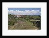Terraced Vineyards lining the hills of the Duoro Valley by Anonymous