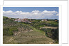 Terraced Vineyards lining the hills of the Duoro Valley by Anonymous