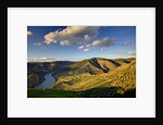 Terraced Vineyards lining the hills of the Duoro Valley by Anonymous