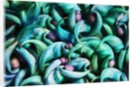 Tropical Gardens with Display of Blue Jade Seeds by Anonymous