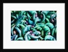 Tropical Gardens with Display of Blue Jade Seeds by Anonymous