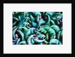 Tropical Gardens with Display of Blue Jade Seeds by Anonymous