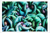 Tropical Gardens with Display of Blue Jade Seeds by Anonymous