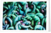 Tropical Gardens with Display of Blue Jade Seeds by Anonymous