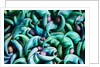 Tropical Gardens with Display of Blue Jade Seeds by Anonymous