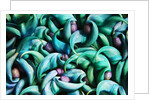 Tropical Gardens with Display of Blue Jade Seeds by Anonymous