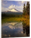 Mt. Hood reflection by Anonymous