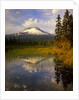 Mt. Hood reflection by Anonymous